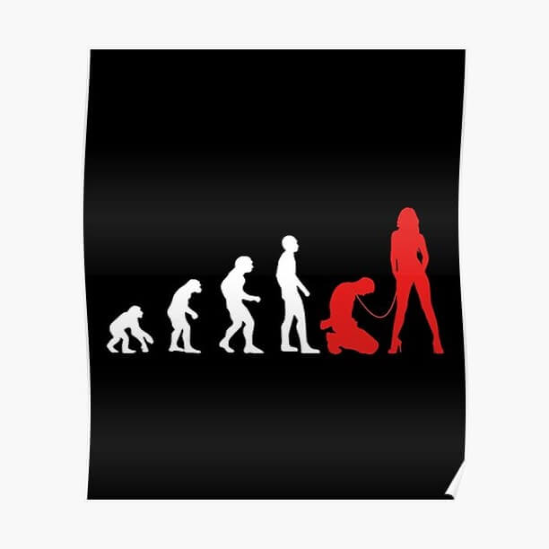 camiseta bdsm fetiche dominatrix